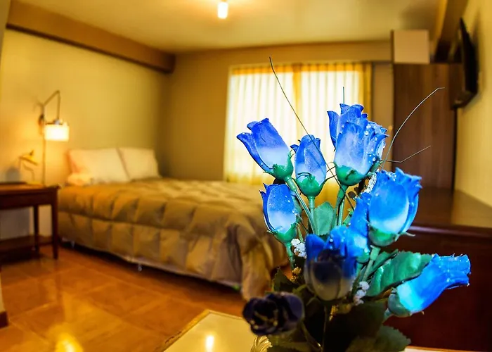Bed & Breakfast Europa *